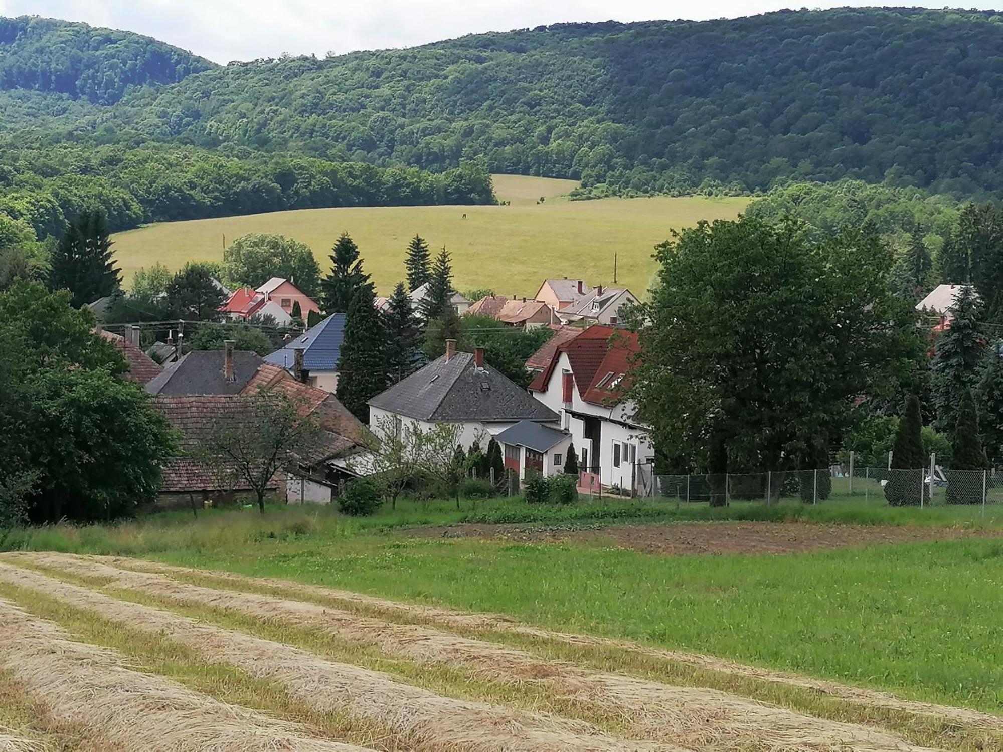 Borostyankut Wellness Home Bakonybél Exterior foto